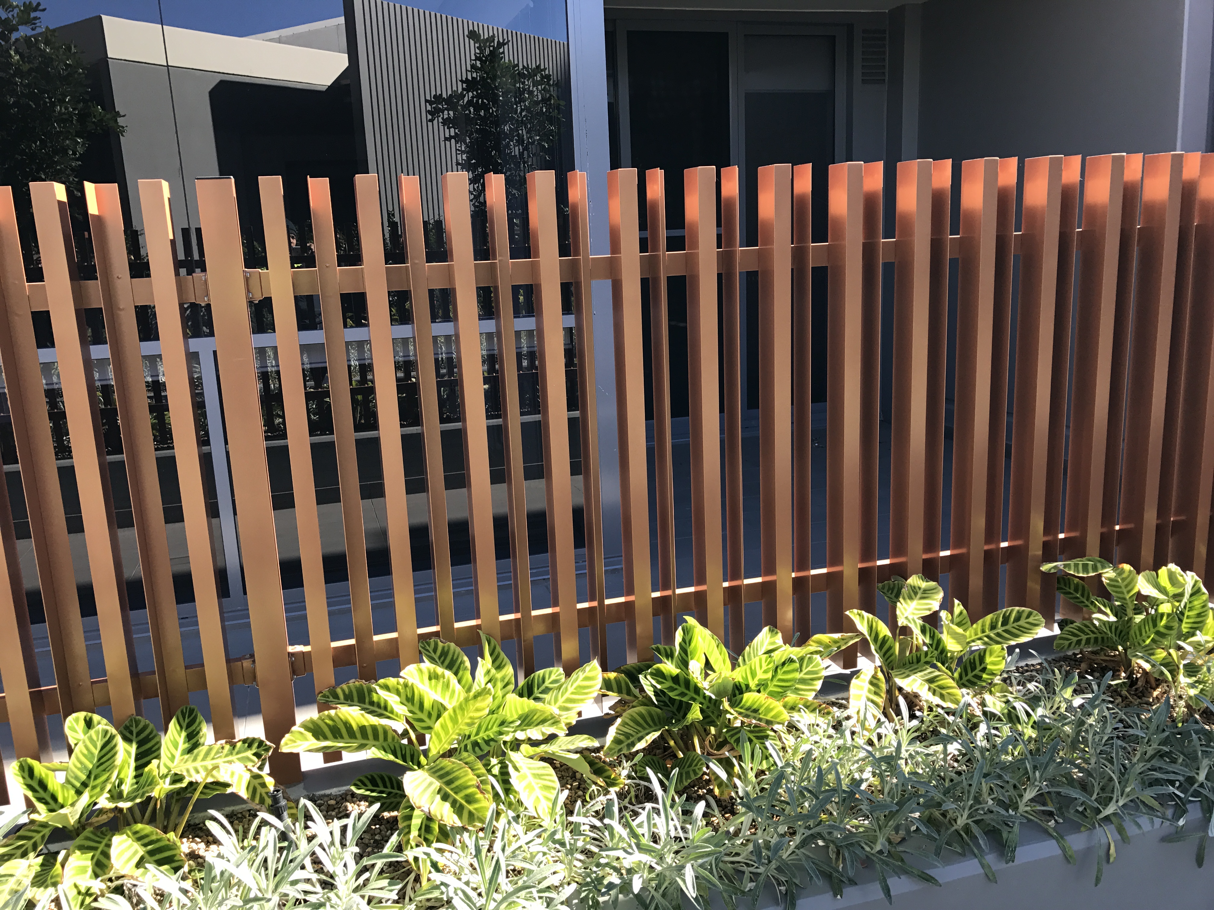 Fencing project photo