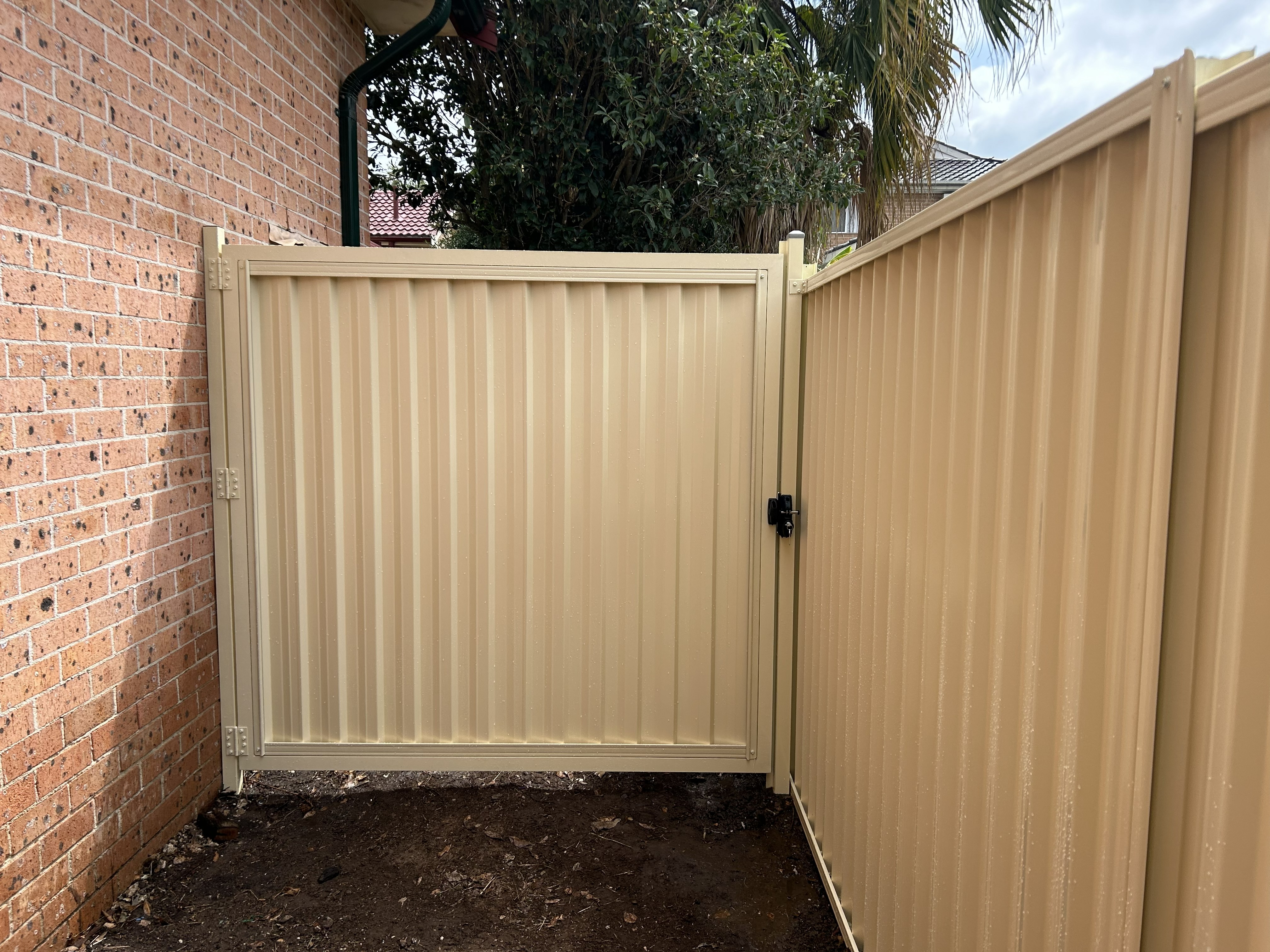 Fencing project photo